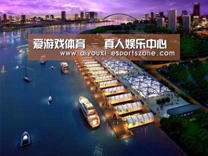 案例展示八(图1)