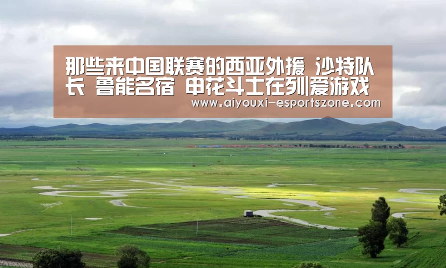 爱游戏体育