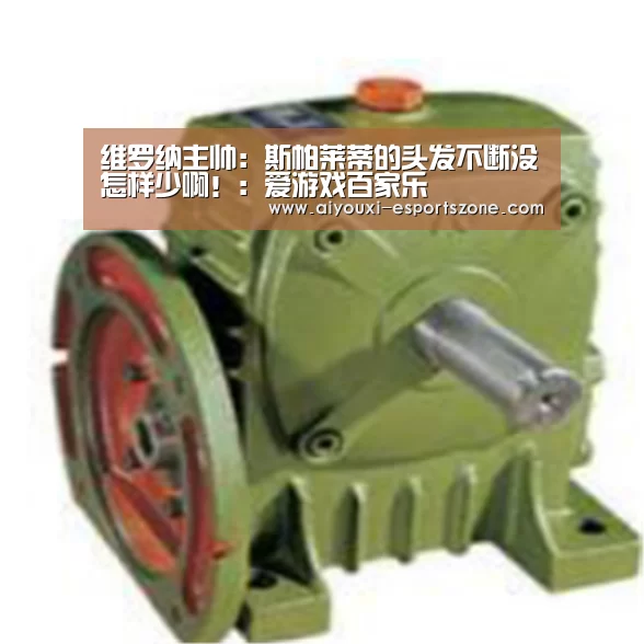 维罗纳主帅:斯帕莱蒂的头发不断没怎样少啊!:爱游戏百家乐(图3) 爱游戏百家乐