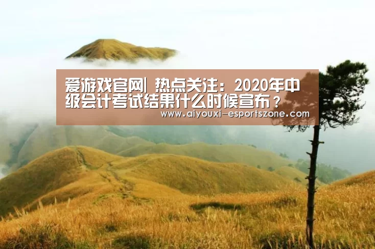爱游戏体育